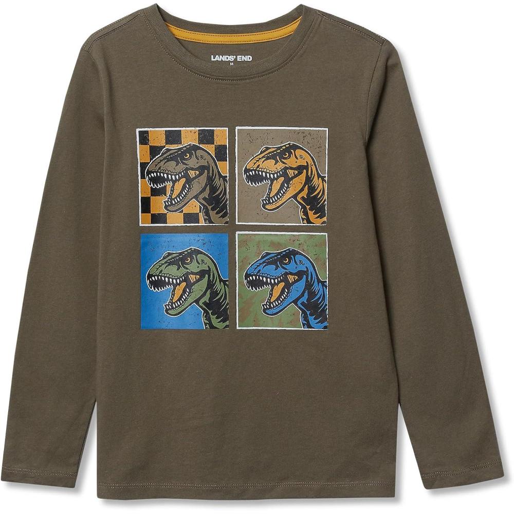 imageLands End Boys Graphic T ShirtDusty Olive Dino Art