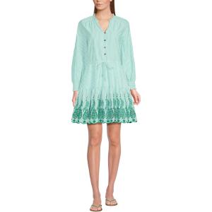 Lands’ End Women’s Long Sleeve Eyelet Mini Popover Dress(Vibrant Clover Stripe Eyelet)