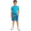 Lands’ End Boys’ Active Adventure UPF 50 Short Sleeve T-Shirt & Short Set (S-XL)(Cobalt)