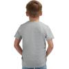 Lands’ End Boys’ Soft Cotton Short Sleeve Graphic T-Shirt(Grey Heather)