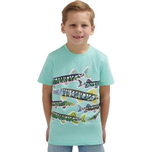 Lands’ End Boys’ Soft Cotton Short Sleeve Graphic T-Shirt(Beach Glass)