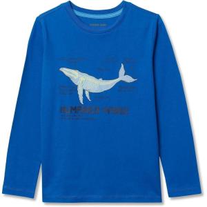 Lands’ End Boys Husky Long Sleeve Graphic Tee(Cobalt Humpback Whale)